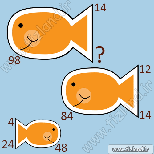 تست هوش ماهی های ریاضیدان