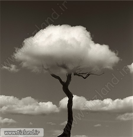 خطای دید درخت ابری