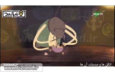 انگل ها و صدمات آنها
